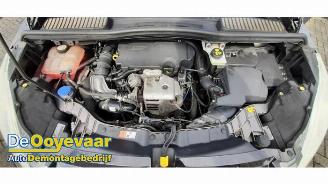 Ford C-Max C-Max (DXA), MPV, 2010 / 2019 1.0 Ti-VCT EcoBoost 12V 125 picture 3