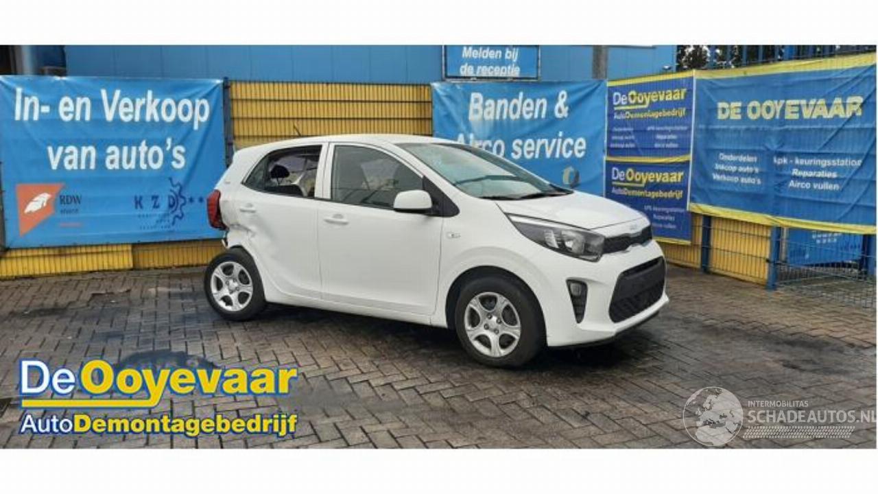 Kia Picanto Picanto (JA), Hatchback, 2017 1.0 DPI 12V