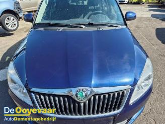 Skoda Fabia Fabia II Combi, Combi 5-drs, 2007 / 2015 1.2 TDI 12V Greenline picture 18