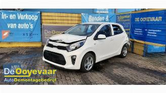 Kia Picanto Picanto (JA), Hatchback, 2017 1.0 DPi 12V picture 2