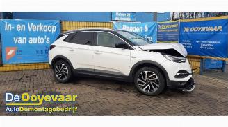 Sloopauto Opel Grandland Grandland (X), SUV, 2017 1.2 Turbo 12V 2017/10