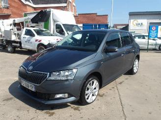 uszkodzony samochody osobowe Skoda Fabia  2019/1