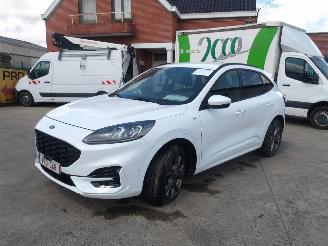 Avarii autoturisme Ford Kuga ST LINE 2021/1
