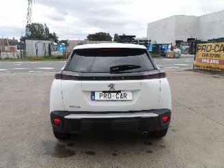 Peugeot 2008 1.5 HDI picture 8