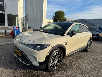 damaged passenger cars Smart  #3 Premium 66 kWh 2024/10
