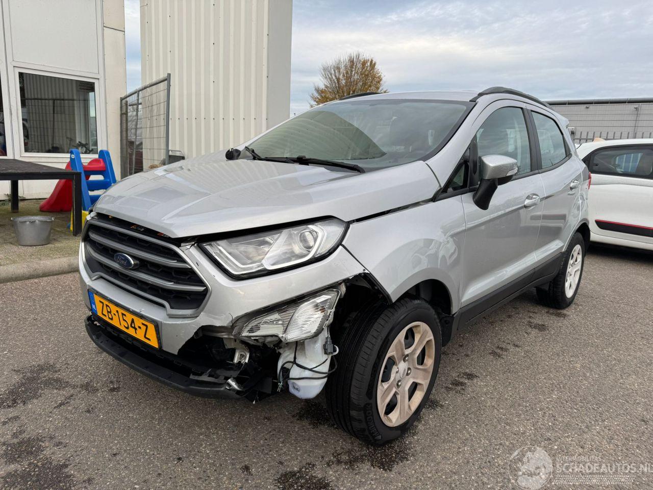 Ford EcoSport 1.0 EcoBoost Trend Ultimate BJ 2019 58.200 KM