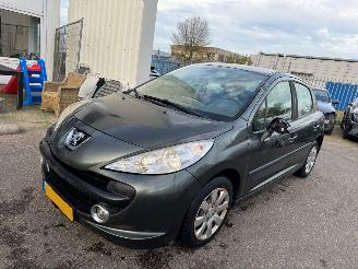 Voiture accidenté Peugeot 207 1.4-16V XR 2006/5