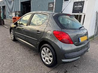 Peugeot 207 1.4-16V XR picture 3