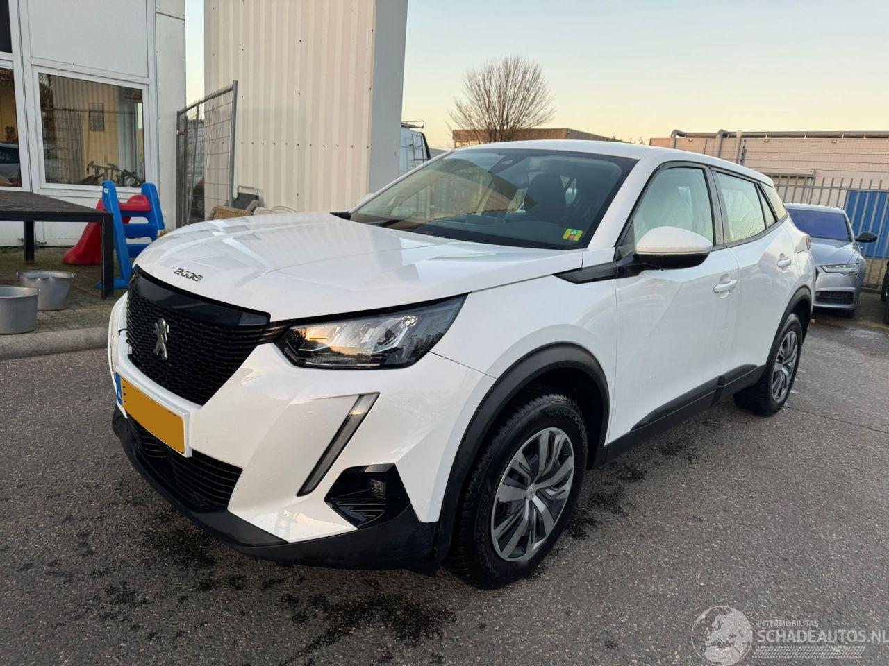 Peugeot 2008 1.2 PureTech Blue Lease Active