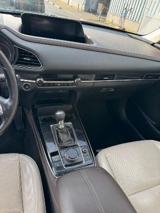 Mazda CX-30 2.0 e-SkyActiv-X M Hybrid Luxury picture 13