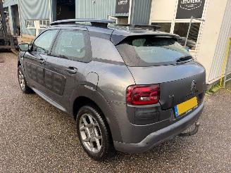 Citroën C4 cactus 1.6 BlueHDi Business picture 3