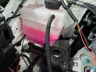 Kia Picanto 1.0 DPI AUTOMAAT BJ 2025  DynamicLine picture 10