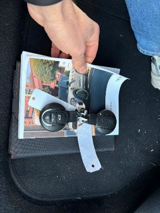 Mini Countryman 1.5 AUTOMAAT Cooper S E ALL4 Chili picture 22