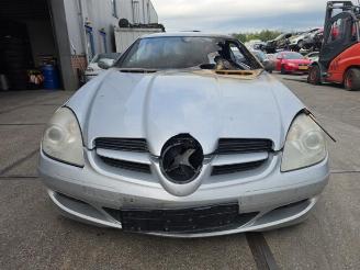  Mercedes SLK SLK (R171), Cabrio, 2004 / 2011 1.8 200 K 16V 2007/4