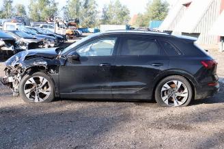 Audi E-tron e-tron (GEN), SUV, 2018 / 2023 55 quattro picture 6