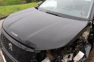 Peugeot 2008 2008 (UD/UK/UR/US/UX), MPV, 2019 e-2008 50 kWh picture 19