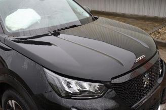 Peugeot 2008 2008 (UD/UK/UR/US/UX), MPV, 2019 e-2008 50 kWh picture 21