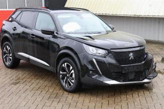 Peugeot 2008 2008 (UD/UK/UR/US/UX), MPV, 2019 e-2008 50 kWh picture 1