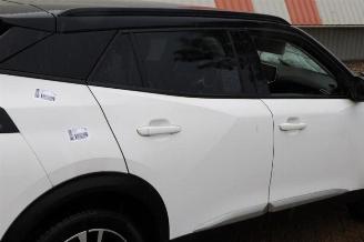 Peugeot 2008 2008 (UD/UK/UR/US/UX), MPV, 2019 1.2 VTi 12V PureTech 100 picture 25