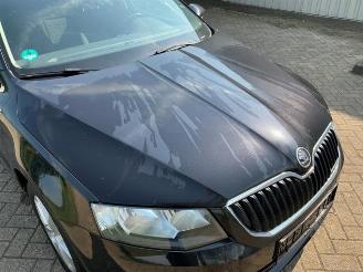 Skoda Octavia Octavia Combi (5EAC), Combi 5-drs, 2012 / 2020 1.6 TDI Greenline 16V picture 22