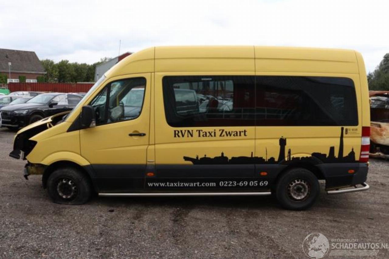 Mercedes Sprinter Sprinter 3,5t (906.73), Bus, 2006 / 2020 313 CDI 16V