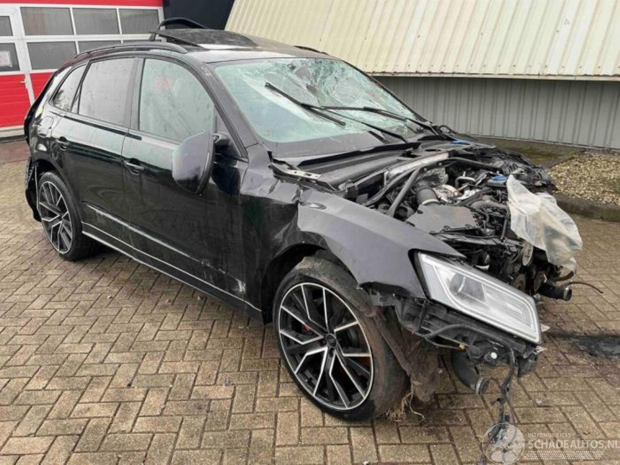 Audi SQ5 SQ5 (8RB), SUV, 2012 / 2017 3.0 TDI V6 24V