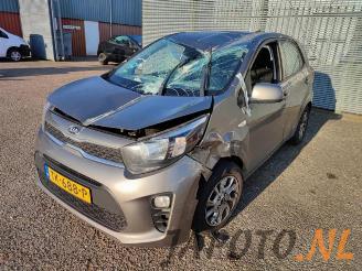 Autoverwertung Kia Picanto Picanto (JA), Hatchback, 2017 1.0 12V 2018/8