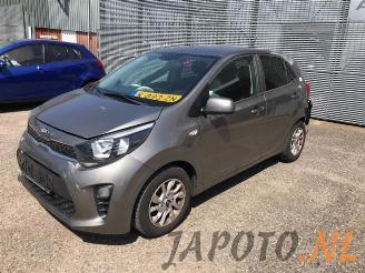 Autoverwertung Kia Picanto Picanto (JA), Hatchback, 2017 1.2 CVVT 16V 2017/7