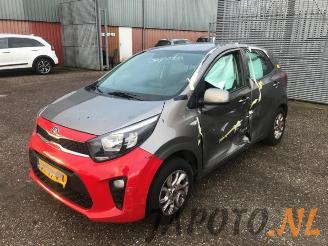 Sloopauto Kia Picanto Picanto (JA), Hatchback, 2017 1.0 12V 2019/3