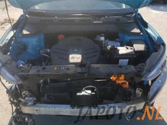 Hyundai Kona Kona (OS), SUV, 2017 / 2023 39 kWh picture 16