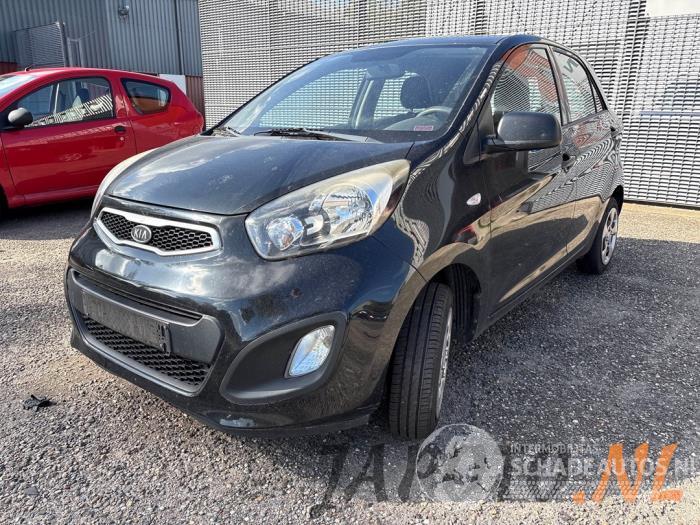 Kia Picanto Picanto (TA), Hatchback, 2011 / 2017 1.0 12V