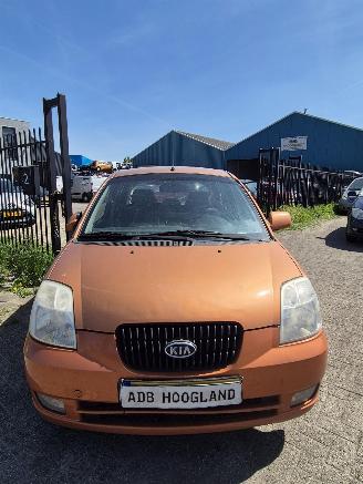 Salvage car Kia Picanto (BA) Hatchback 1.0 12V (G4HE) [45kW] 2006/1