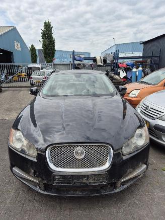 Salvage car Jaguar XF (CC9) 2.7 D V6 24V Sedan, 4Dr, Diesel, 2.720cc, 152kW (207pk), RWD, 7G; AJTDV6 2008/1