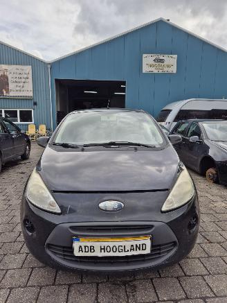  Ford Ka II Hatchback 1.2 (169.A.4000(Euro 4; Euro 5)) [51kW] 2010/1