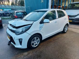 damaged passenger cars Kia Picanto Picanto (JA) Hatchback 1.0 12V (G3LD) [49kW] 2023/6