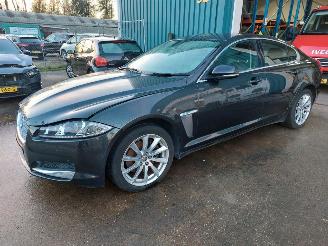 Schadeauto Jaguar XF 2.2 D Luxury 2012/1
