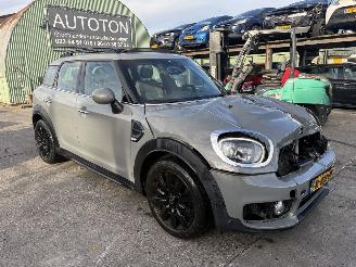 uszkodzony samochody osobowe Mini Countryman 1.5 75KW Autom. Pano Clima Navi Dutch Made Edition Led 2019/9