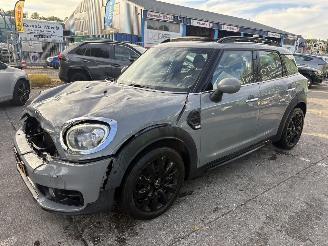 Unfallwagen Mini Countryman 1.5 75KW Autom. Pano Clima Navi Dutch Made Edition Led 2019/9