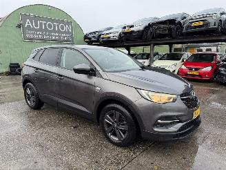 Avarii autoturisme Opel Grandland X 1.2 Turbo 96KW Clima Navi Led 120 Jaar Edition NAP 2019/7