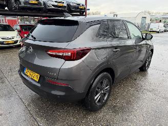 Opel Grandland X 1.2 Turbo 96KW Clima Navi Led 120 Jaar Edition NAP picture 2