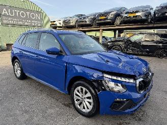  Skoda Kamiq 1.0 TSI 85KW DSG Clima Navi Camera Business Edition 2024/5