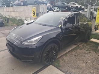 skadebil auto Tesla Model Y Model Y (5YJY), SUV, 2019 / 2025 Long Range,Performance 2022/1