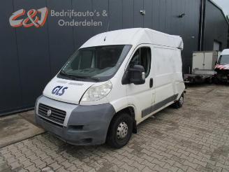 Auto da rottamare Fiat Ducato Ducato (250), Bus, 2006 2.3 D 120 Multijet 2008/5