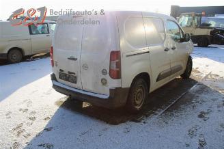 Opel Combo Combo Cargo, Van, 2018 1.6 CDTI 100 picture 6