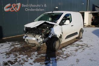Sloopauto Opel Combo Combo Cargo, Van, 2018 1.6 CDTI 100 2019/6