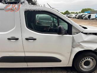 Opel Combo Combo Cargo, Van, 2018 1.6 CDTI 75 picture 13