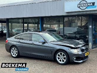 Avarii autoturisme BMW 4-serie 420i Grand Coupe Open dak Navi Clima Cruise 2015/9