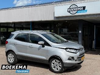 Ford EcoSport 1.0 EcoBoost Trend Airco TomTom PDC 2017/12