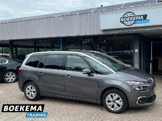 Avarii autoturisme Citroën Grand C4 SpaceTourer 1.2 PureTech Business 7-Pers Navi Cruise PDC trekh. 2019/7