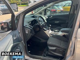 Ford C-Max 1.6 SCTi Titanium Climate Cruise PDC Trekh. picture 8